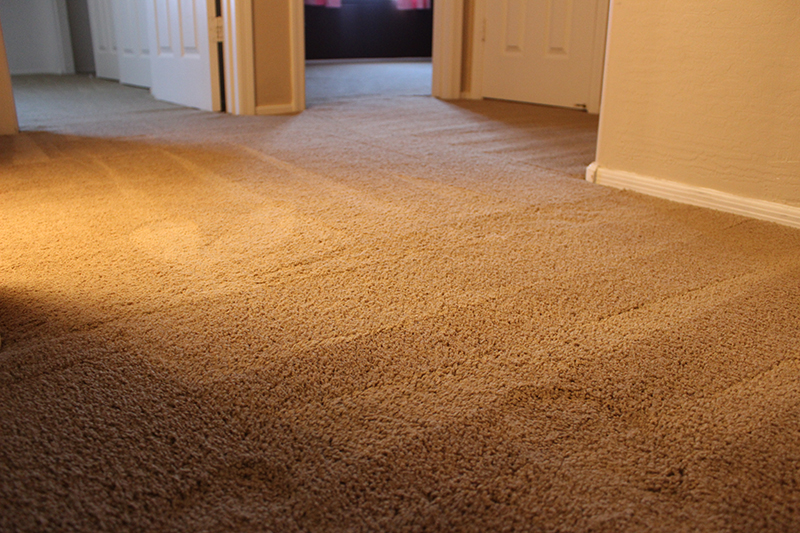 Leading Carpet Repair Services in Santa Ana, CA