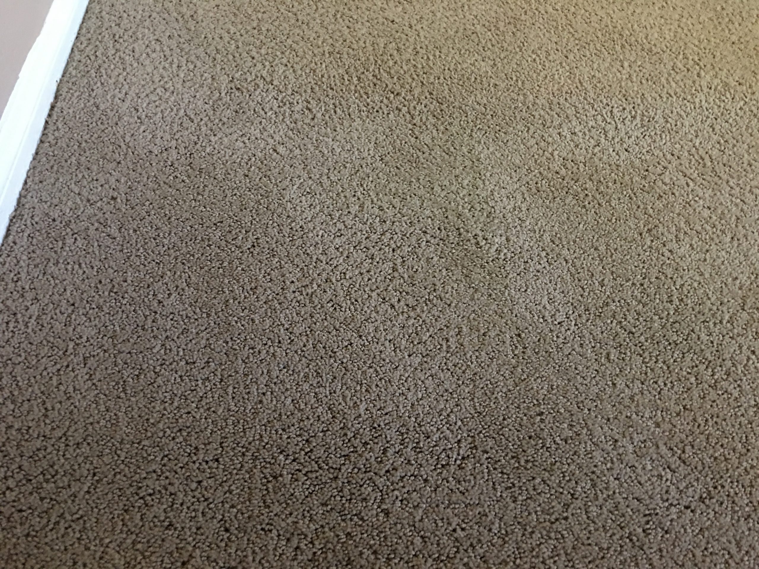 Area Rug Cleaning Gilbert  Magic Touch Carpet Repair And Cleaning