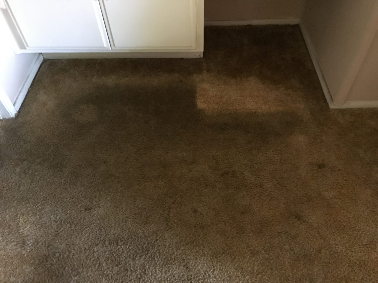 Carpet Cleaning OC Carpet Repair