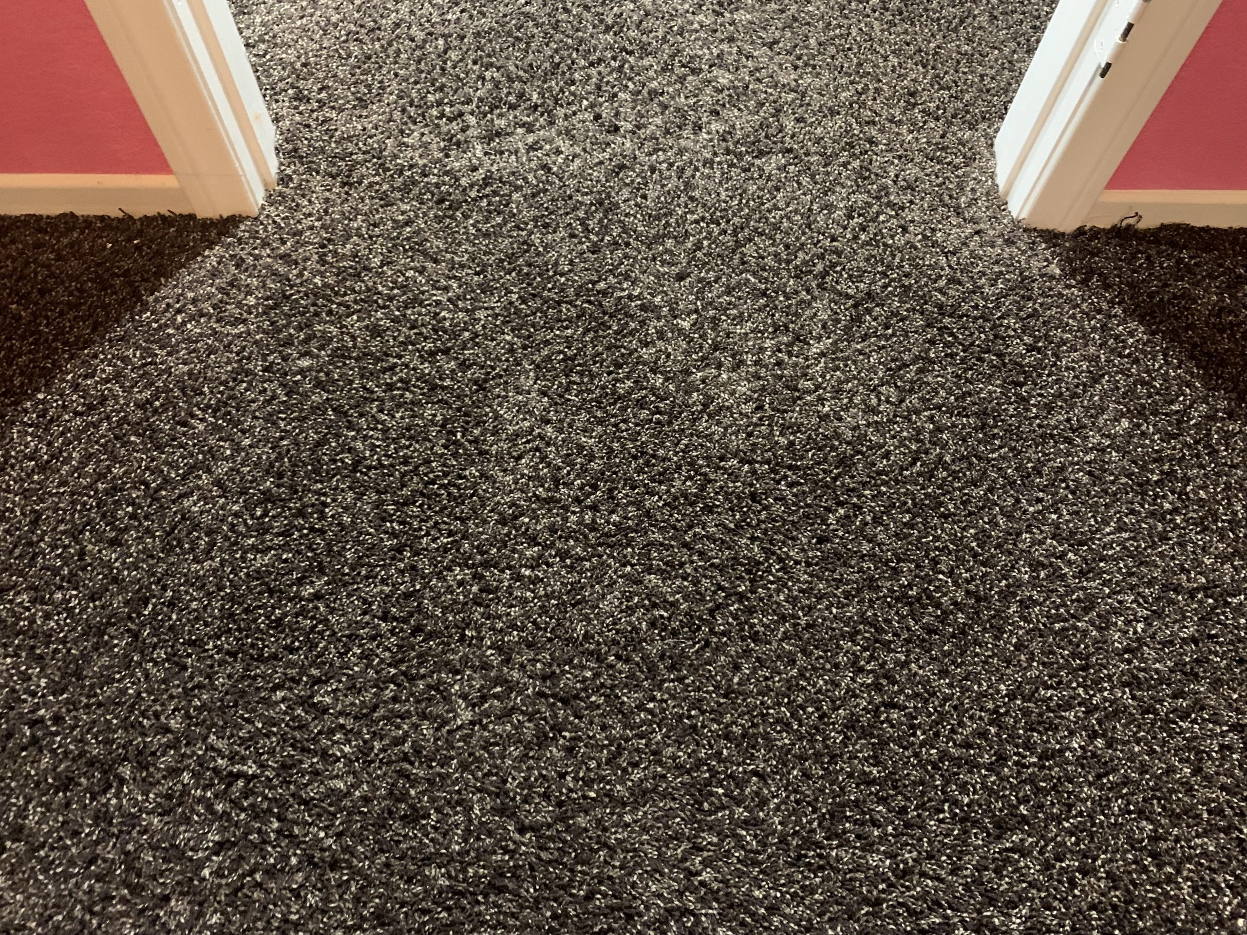 Leading Carpet Repair Services in Santa Ana, CA