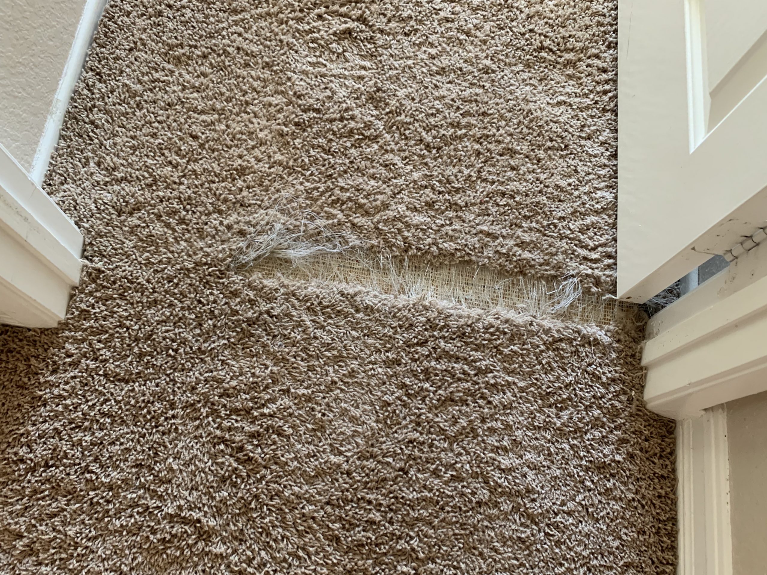  Carpet Repair Cost